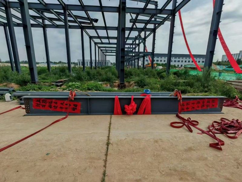 „Yongcheng Xingye“ plieno struktūros įmonė pagreitėjo „Hebei Bosheng“ maisto dirbtuvių statyba